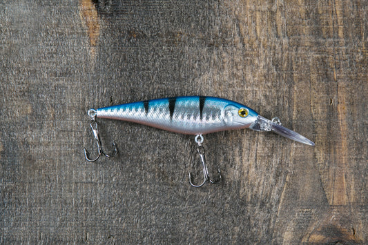 Biomagnificação e Bioacumulação: Quanto maior o peixe, maior a contaminação?