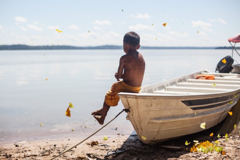 Criação de galinhas e farinha de mandioca: indígenas Munduruku buscam alternativas ao garimpo