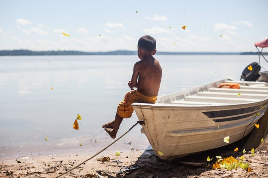 Criação de galinhas e farinha de mandioca: indígenas Munduruku buscam alternativas ao garimpo